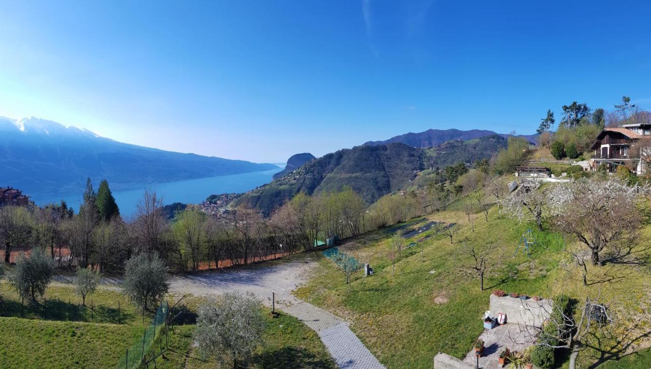 Teresa Campi Apartments Lake View By Gardadomusmea Tremosine Esterno foto